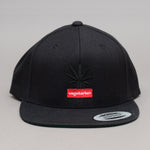 Vegan - Style 2 - Snapback - Black